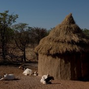 africa2006 CRW 2849 : Africa Afrika, Urlaub