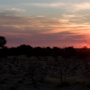 africa2006 CRW 2958 : Africa Afrika, Natur Nature, Urlaub