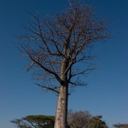 africa2006 CRW 3265 : Africa Afrika, Natur Nature, Urlaub